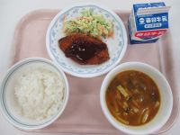 さかなのフライ　千切りキャベツのサラダ　カレーうどん