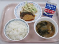 ブリヒラの照り焼き　マカロニサラダ　みそ汁