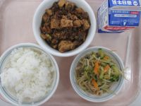 麻婆豆腐　ナムル