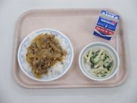 焼肉どんぶり　ポパイサラダ