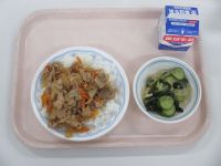 肉どんぶり　酢の物