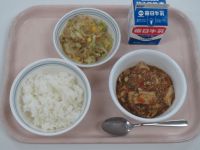 麻婆豆腐・春雨サラダ