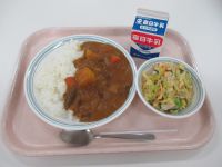 ジビエカレー・コールスローサラダ