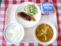 ごはん・牛乳・なまずのフライ・ブロッコリーサラダ・カレーうどん