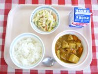 ごはん・牛乳・豆腐のカレー煮・マカロニサラダ