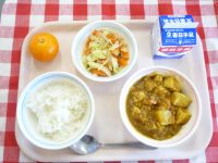 ごはん・牛乳・とうふのカレーに・はるさめサラダ・和歌山県からいただいたみかん