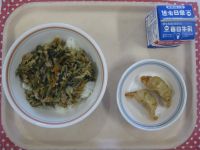 ビビンバ丼、揚げぎょうざ