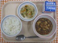 ごはん、マーボーどうふ、ハリハリサラダ