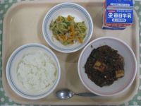 ご飯、マーボー豆腐、ハリハリサラダ