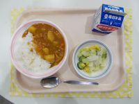 カレーライス、フレンチサラダ